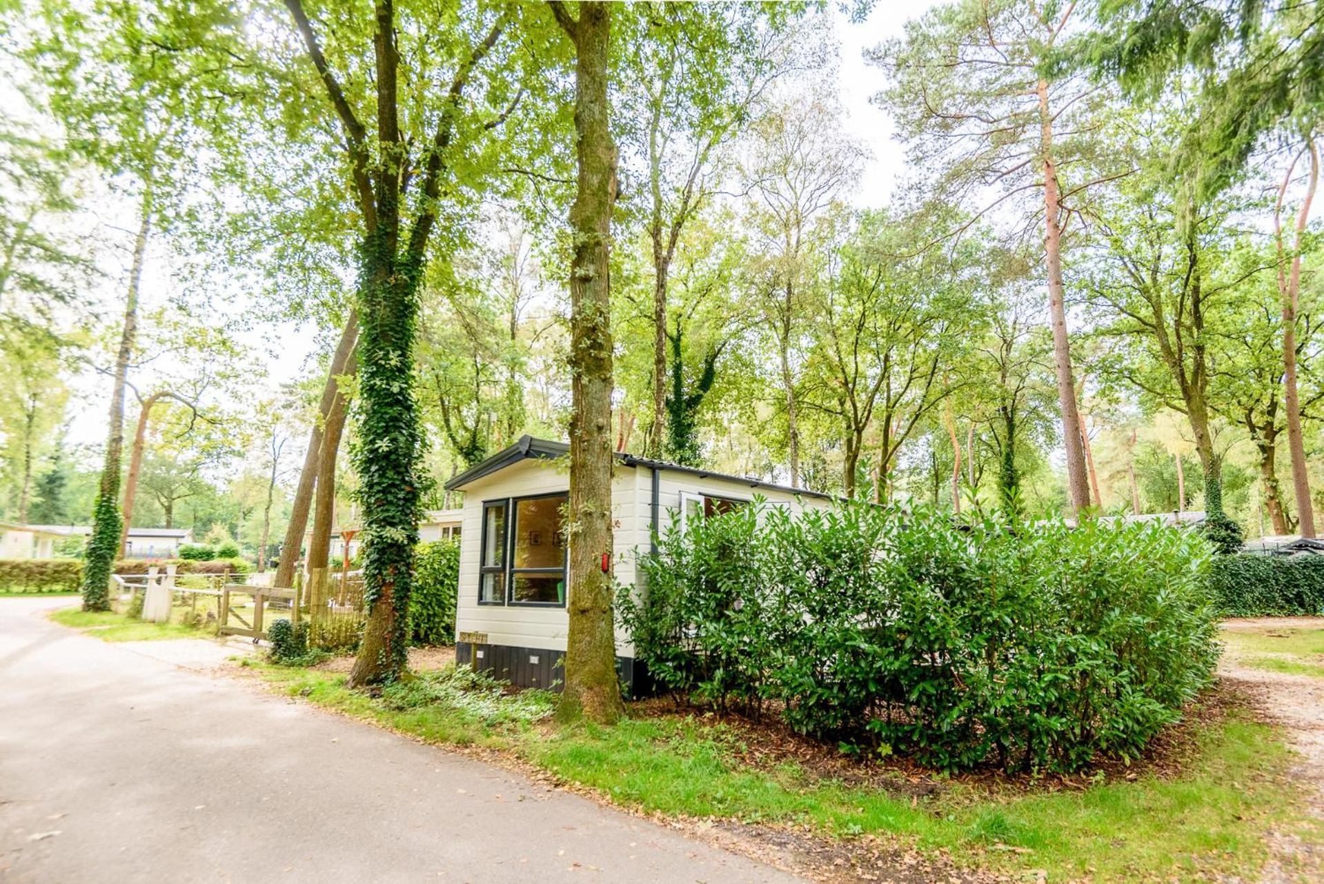 Veluwe Chalet Aan Het Bos - Kids - Pool - Dog Hoenderloo Esterno foto